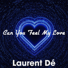 Can You Feel My Love