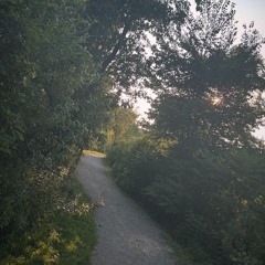 shynee - engrams (blickyhomeboy + endren)