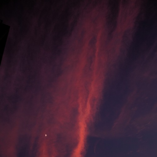 PsyKo - Trip In The Mist