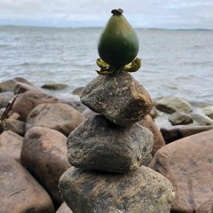 Niklas Ahlse - Vakna