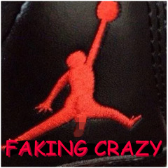 FAKING CRAZY (prod.cross)