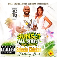 Sunset All White Promo Mix 2023