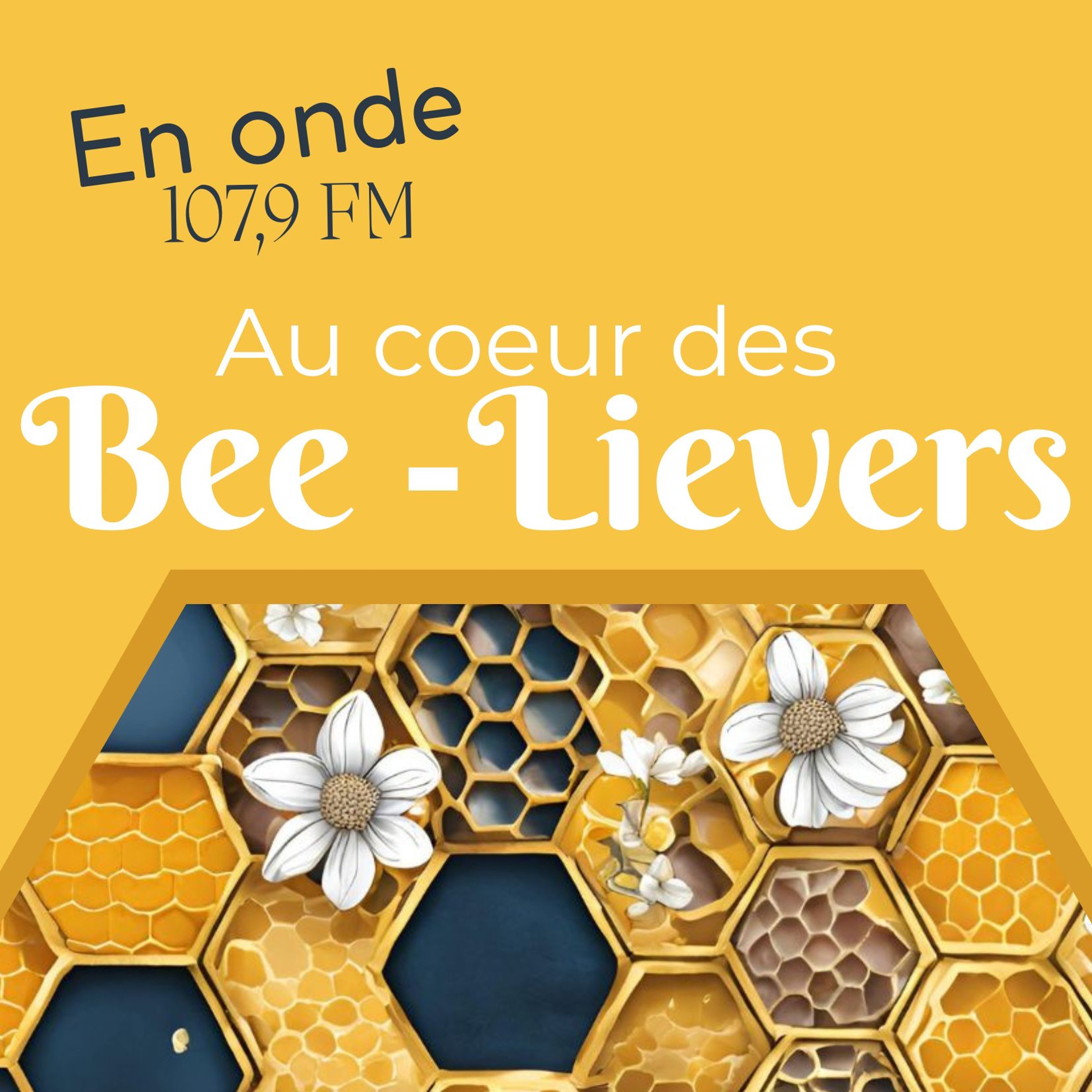 003 - Comprendre ce que tu vis réellement episode artwork
