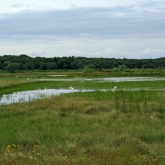 1:33 AM (feat nuumi)