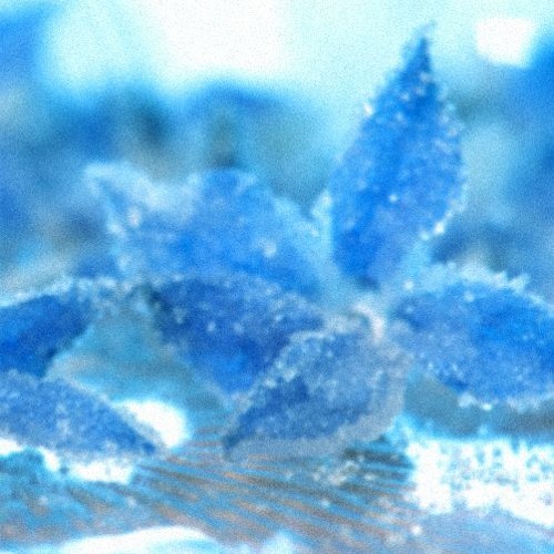 fern - frost flower (permafrost mix)
