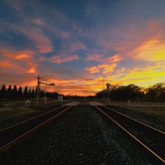 Train Ride Into Low Tide