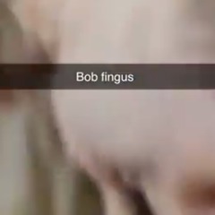 The Ballad of Bob Fingus