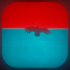 Hawks in the Sky