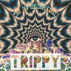 ☆TRIPPY☆ - mix by Sunricer1980.mp3