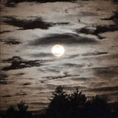 Lonley Nite$ (prod. metlast)