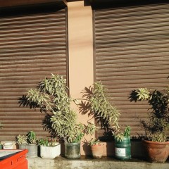 Trisha Delfin - Deja Vu (crystal Jobli), A COVER