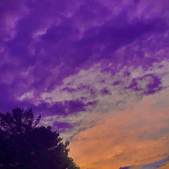 Numb until my brain go dumb