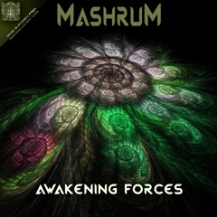 04 - Mashrum - Internal Trip