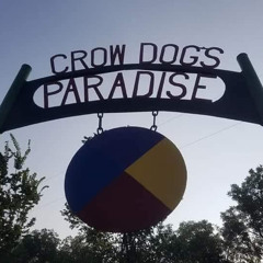 >:< Crowdogs Paradise 2k22