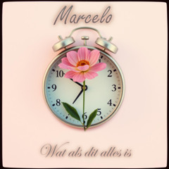 Wat als dit alles is