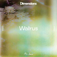 DIM322 - Walrus