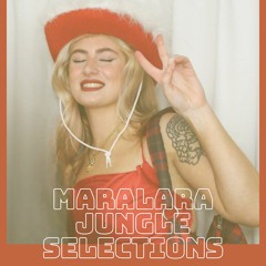 maralara // Jungle Selections Mix // 001