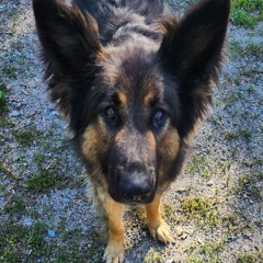 The Check in 4 Take it ez