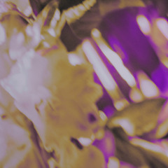 HORS-SOL : Maryu invite CallBackSami - 27 Février 2025