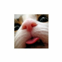 johny breakrules dimka remix edit