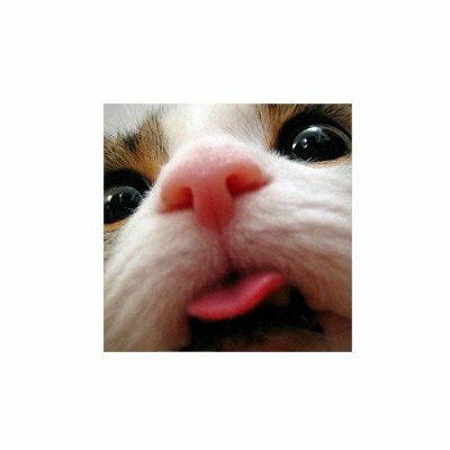 johny breakrules dimka remix edit