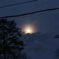 Save me from the dark  w/ bnzo$hawty