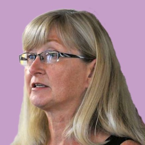 #263 - Holly Ahern, PhD - The State of Lyme Disease Testing