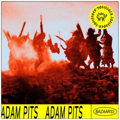 Bazaar 33 || Adam Pits