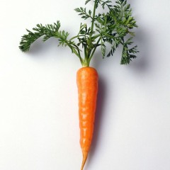 Carrot Dance France 1897
