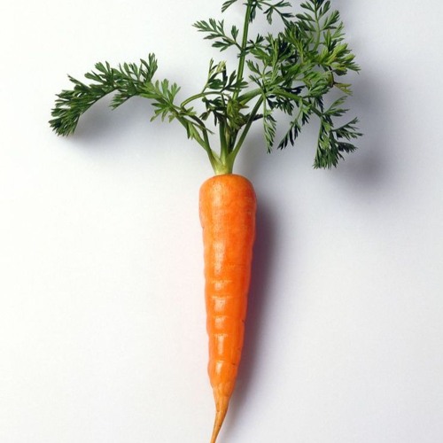 Carrot Dance France 1897