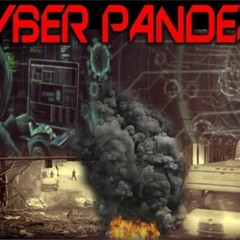 Show sample for 12/28/20: CYBER PANDEMIC