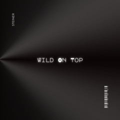 Steiner Sessions 001 @ Wild On Top (progressive house)
