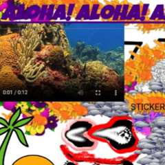 THE END OF A BEGINNING