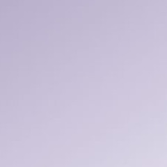 no admission of fault