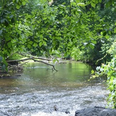 Go With The Flow