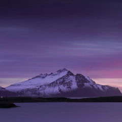 DANTE YN - 440 BABYS