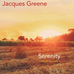 Serenity (Unbard's Short Mix)