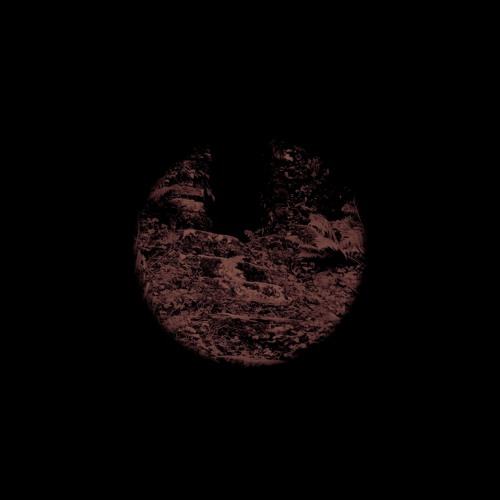 Wrong Path N°8 - "12 Roads Leading To The Same Dead End"