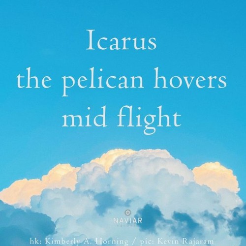 Icarus [naviarhaiku462]