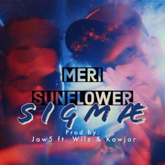 Meri Sunflower (feat. Jaw5 & Kawjar)