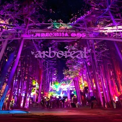 Into The Arbor > June 2023 > Journey to Electric Forest