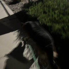 keygen snareroll tutorial 2023