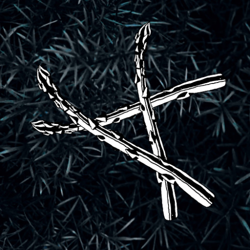 ASP_06_Asparagus