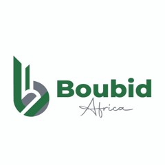 Boubid: Helping Nigerian businesses achieve their full potential