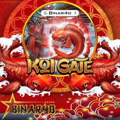 BINAR4D - DJ Anil Techno