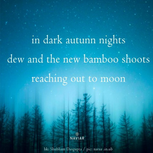 reaching out to moon [naviarhaiku511]
