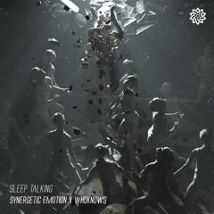 Who Knows? & Synergetic Emotion- Sleep Talking [Free Download]