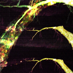 lo and behold, you werent meant to be alive