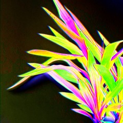 PG - BEATS x LUCAS DE YOUNG - GREEN MEDIA