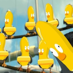 Hodl Tight, It's All Duck Vibe